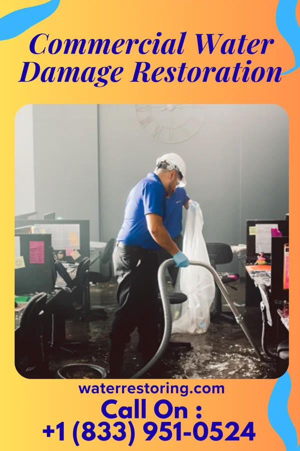 Commercial Water Damage Restoration in Scottville, MI