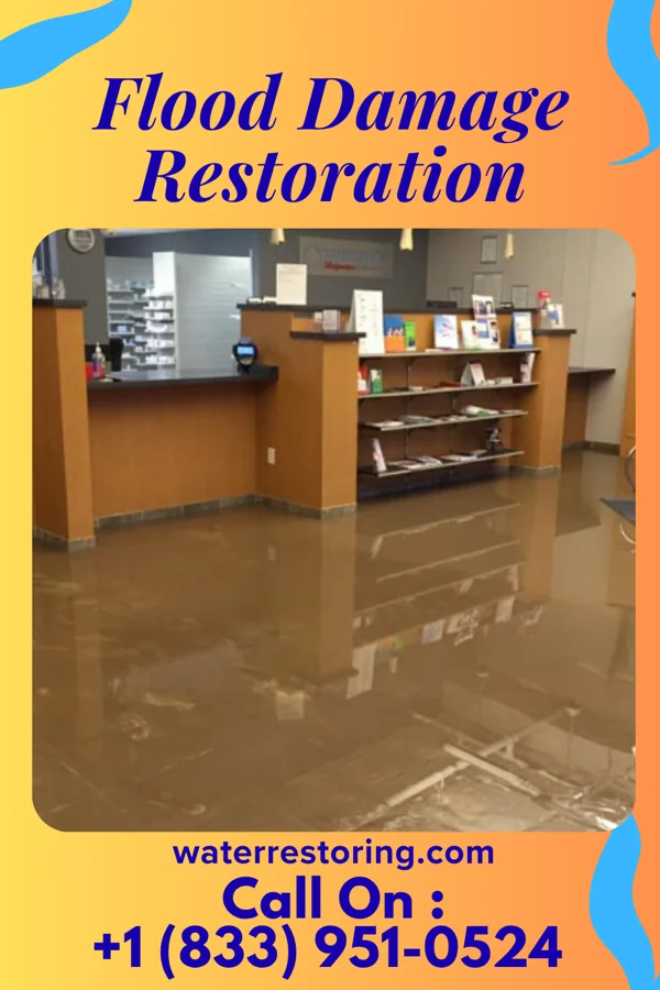 Flood Damage Restoration in Scottville, MI