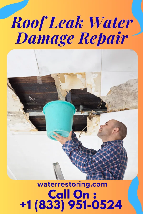 Roof Leak Water Damage Repair in Scottville, MI