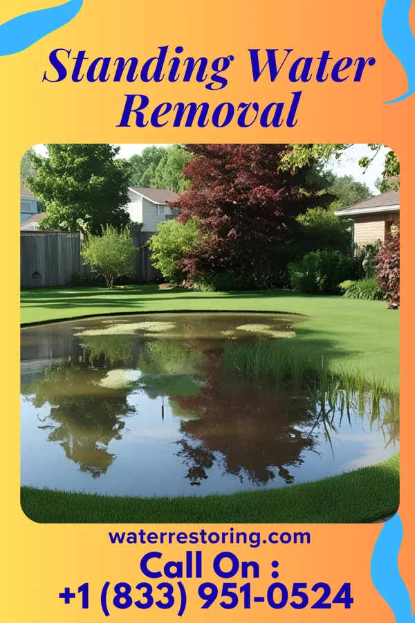 Standing Water Removal in Scottville, MI